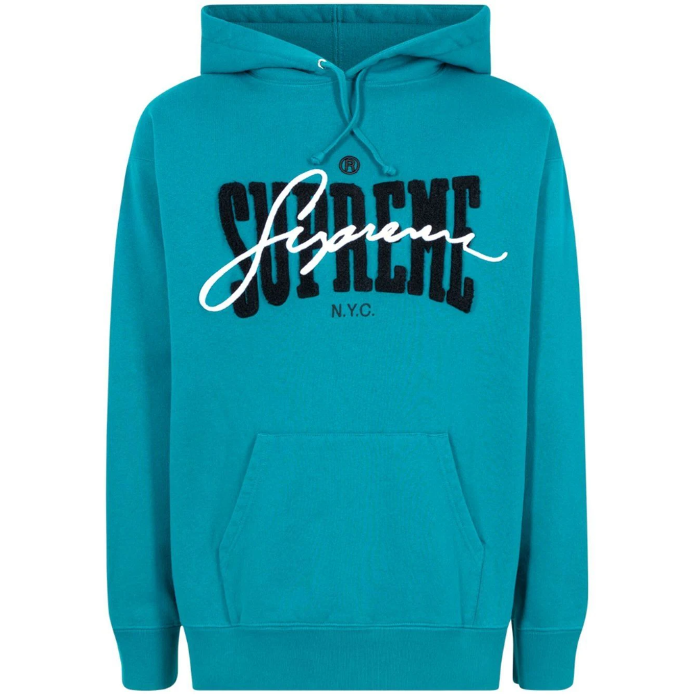 hoodies chenile embroidery (1).1